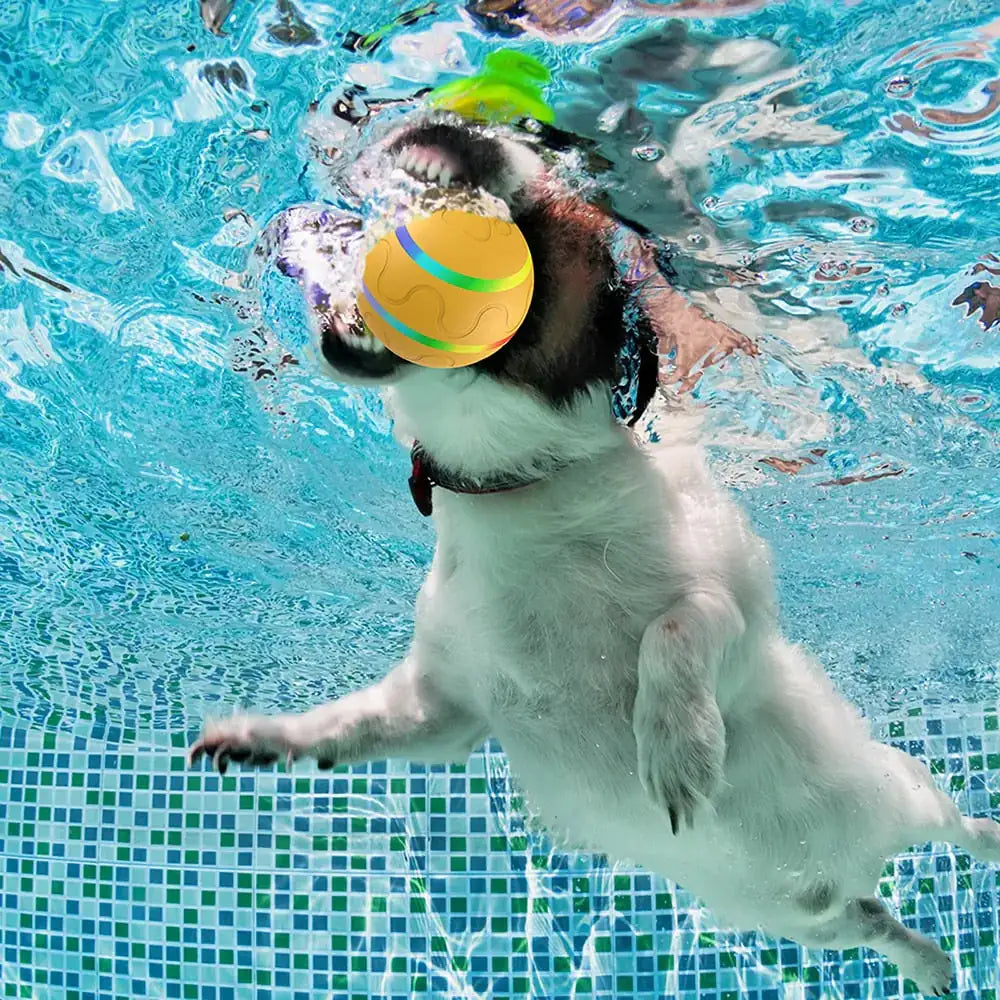 Jouet Interactif Boule Intelligente pour Animaux de Compagnie