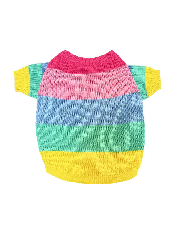 Pull Arc-en-ciel Tricoté pour Chiot