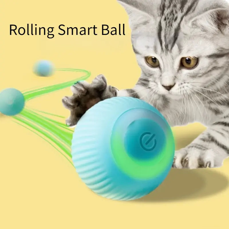 Jouets pour chats à balle roulante électrique