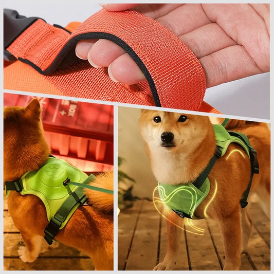 Laisse rétractable automatique pour chien avec harnais ajustable anti-traction