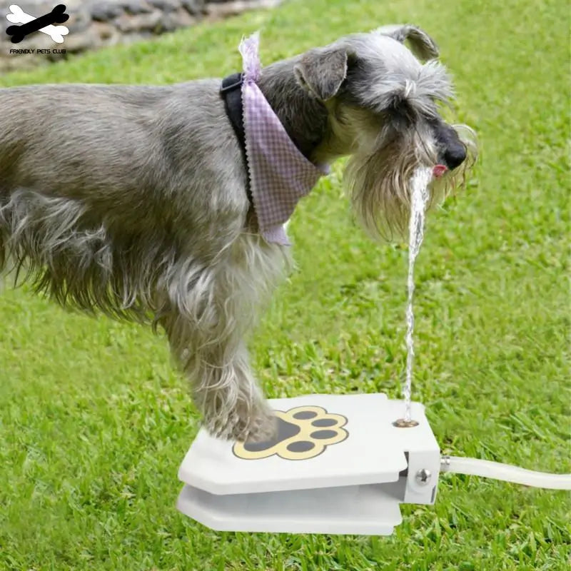 Fontaine à Boire Automatique pour Chien