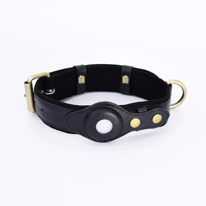 Collier pour Chien Airtag