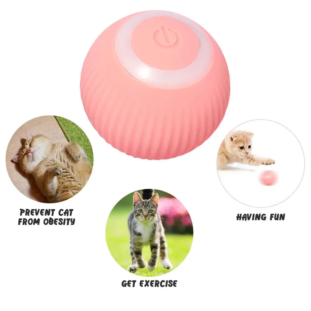 Jouets pour chats à balle roulante électrique