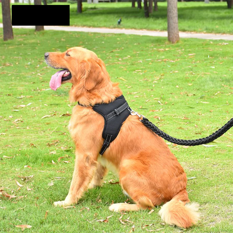 Harnais de Promenade Ajustable pour chien