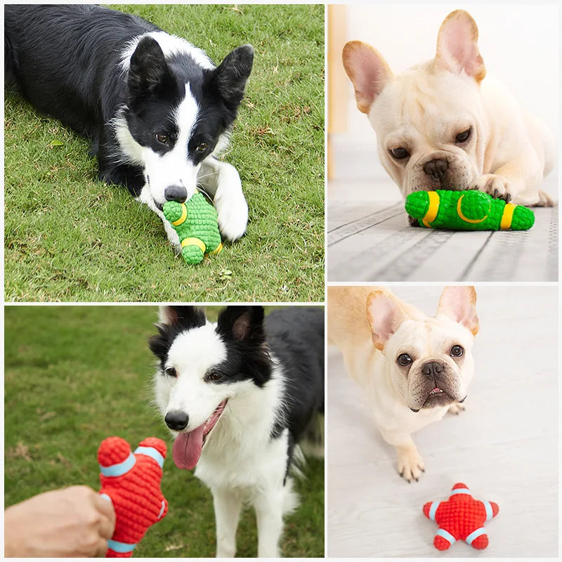 Jouet pour Chien en Caoutchouc Latex Qui Couine