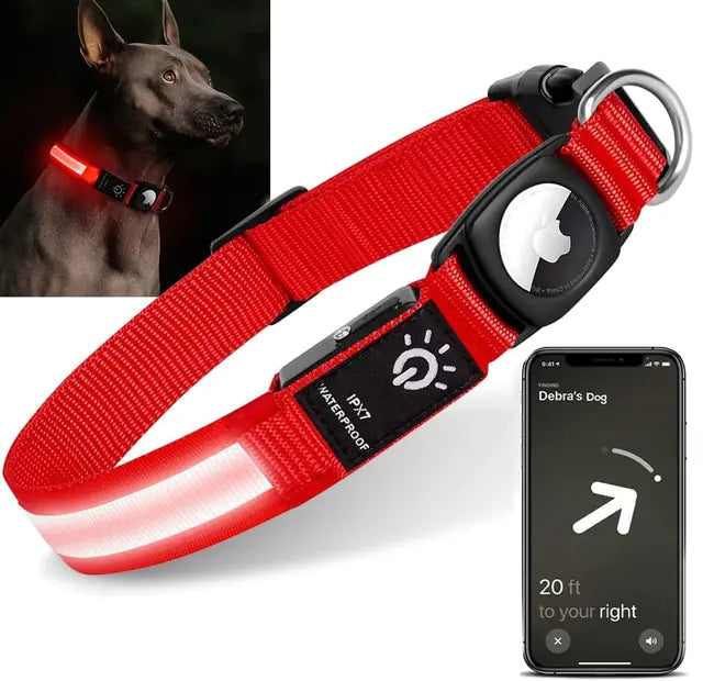 Collier Lumineux LED pour Chien Rechargeable par USB