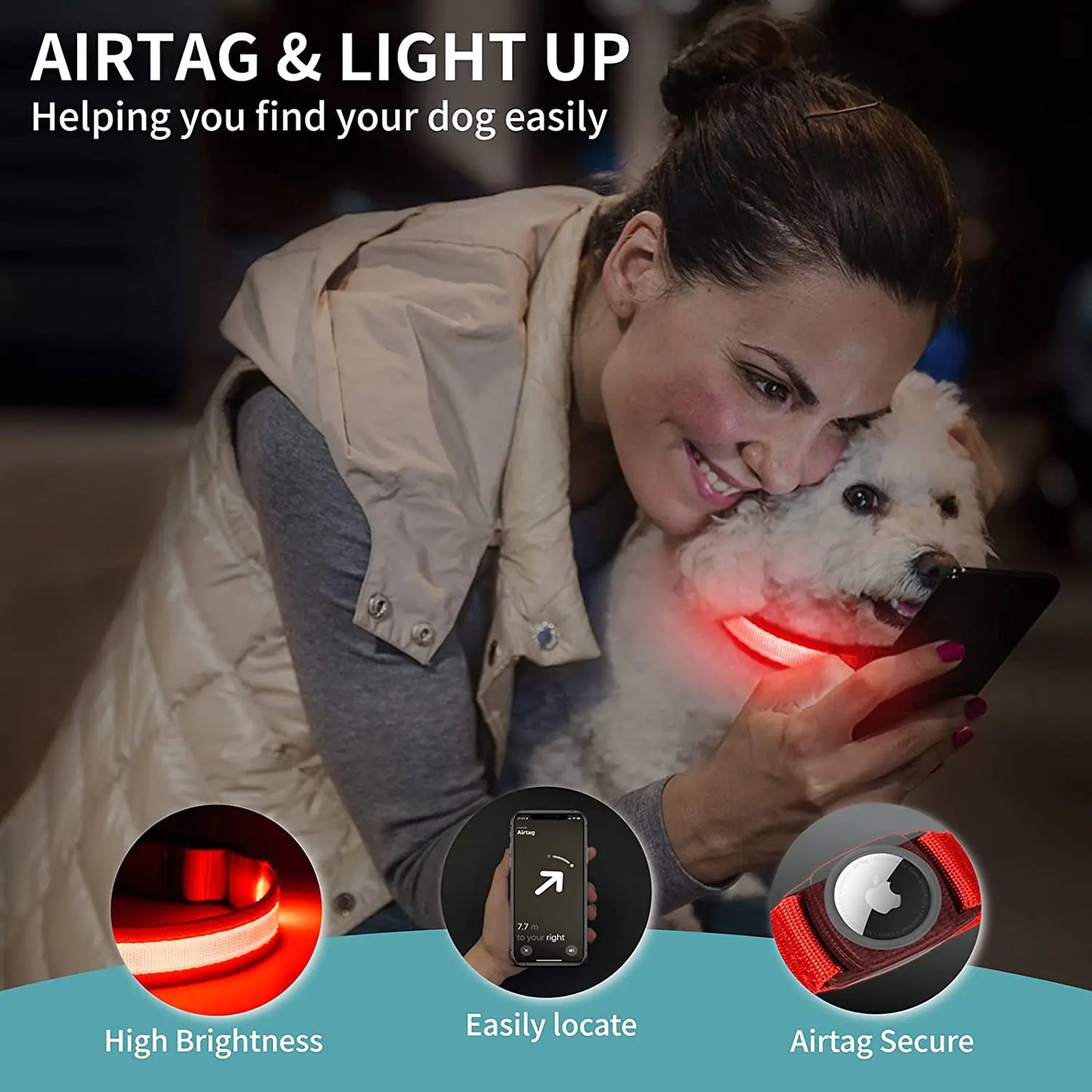 Collier Lumineux LED pour Chien Rechargeable par USB