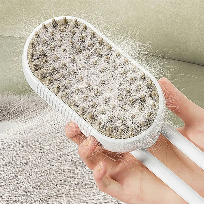 Brosse Vapeur