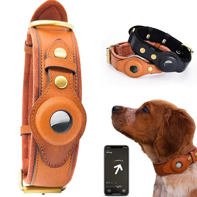 Collier pour Chien en Cuir Anti-Perte