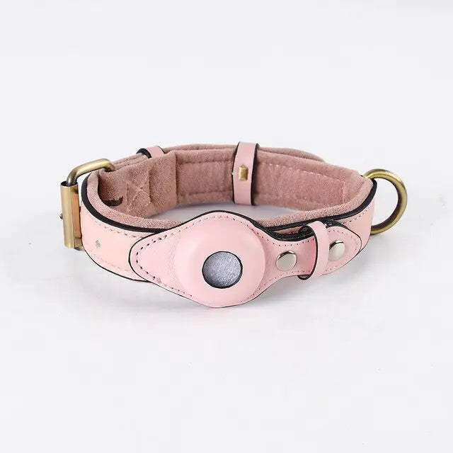 Collier pour Chien en Cuir Anti-Perte