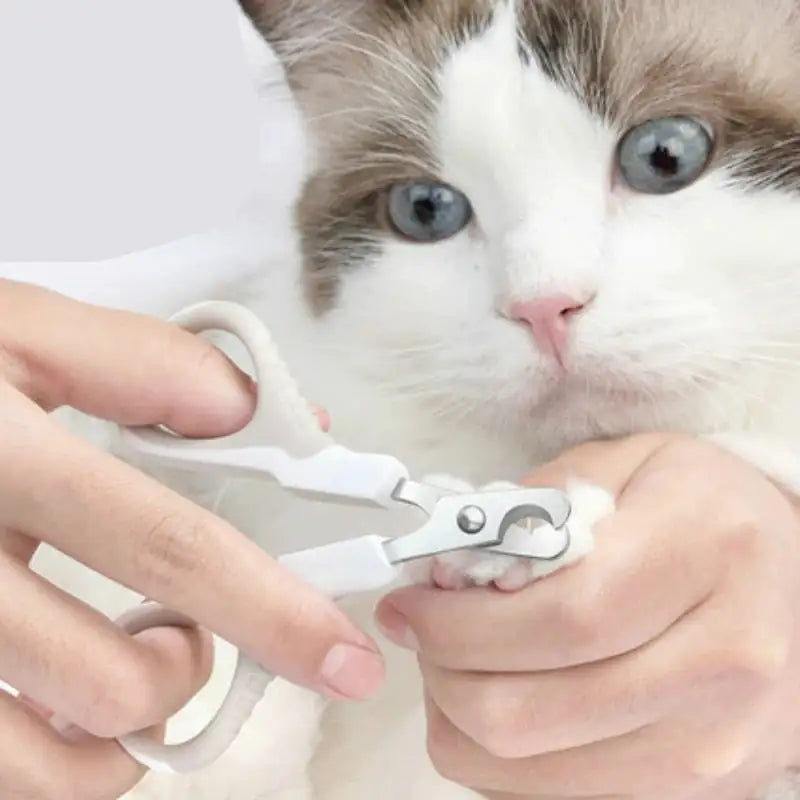 Coupe-ongles pour Animaux de Compagnie