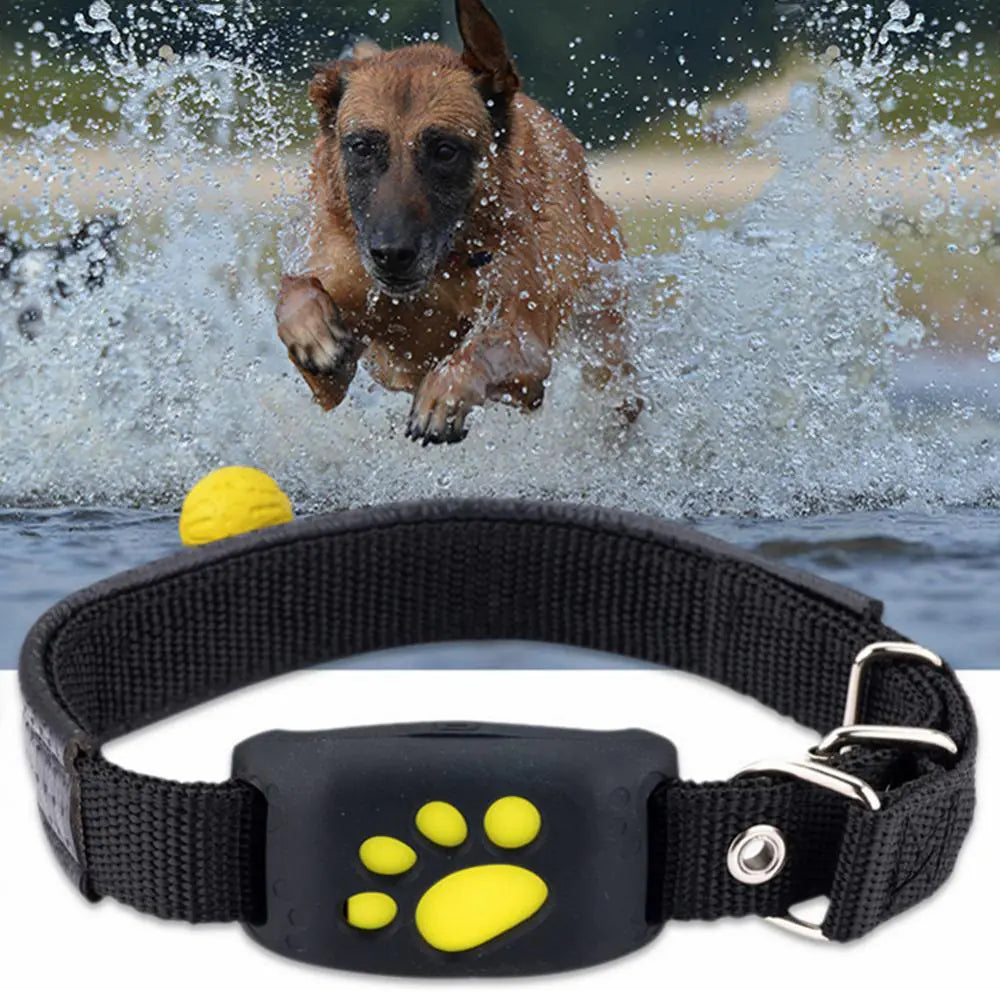 Collier Traceur GPS pour Animaux