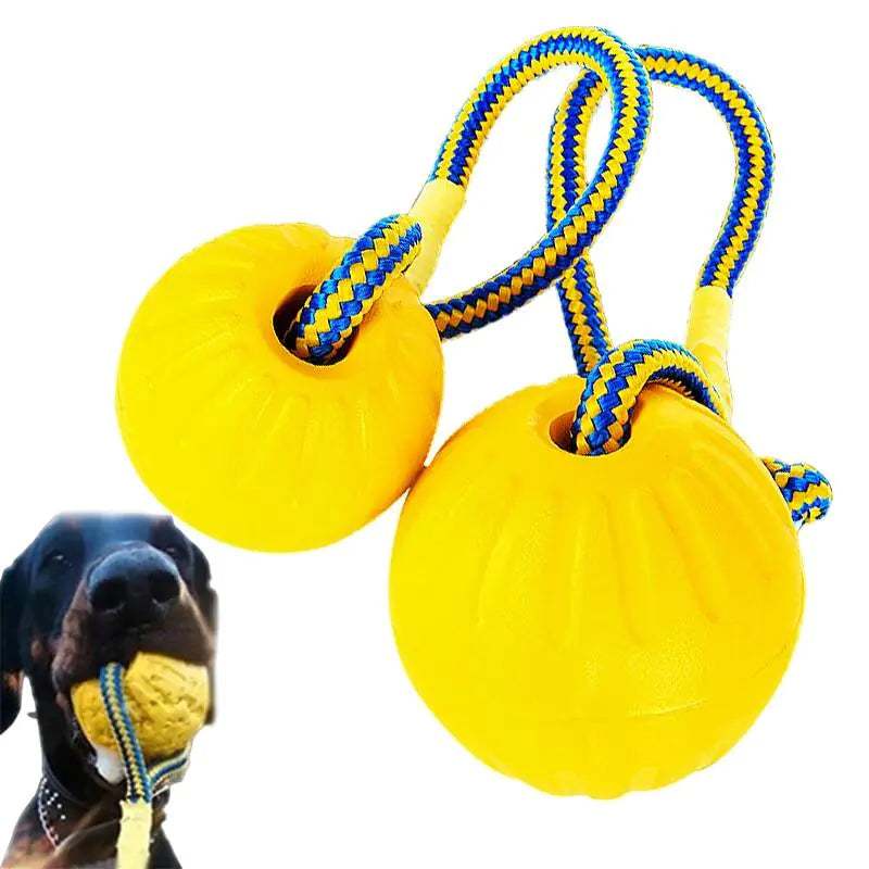 Balle de dressage pour chien avec corde