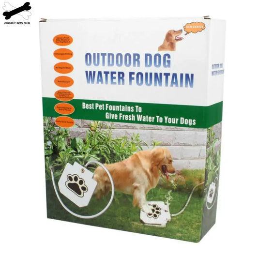 Fontaine à Boire Automatique pour Chien