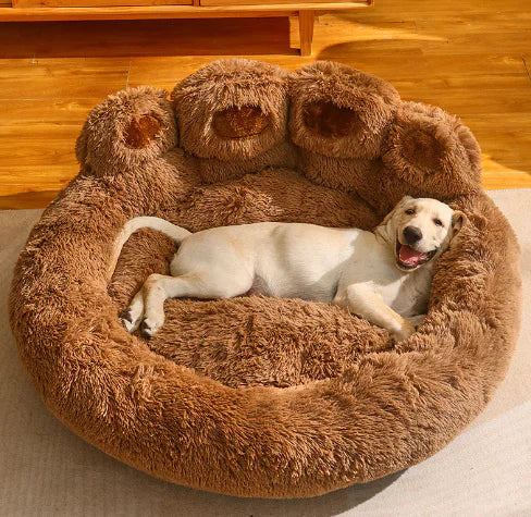 Lit Pour Chien Forme Patte Doux et Confortable