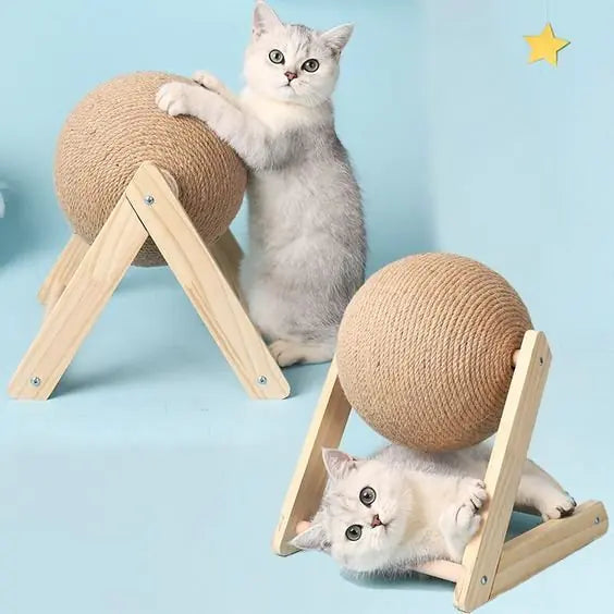 Jouets à Mâcher Balle et Corde avec Planche Grattoir pour Pattes