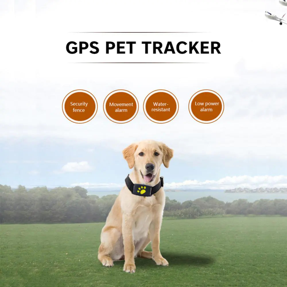 Collier Traceur GPS pour Animaux