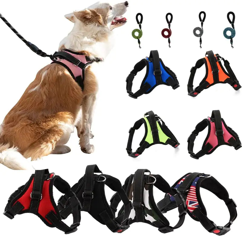 Harnais de Promenade Ajustable pour chien