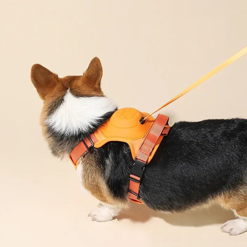 Laisse rétractable automatique pour chien avec harnais ajustable anti-traction