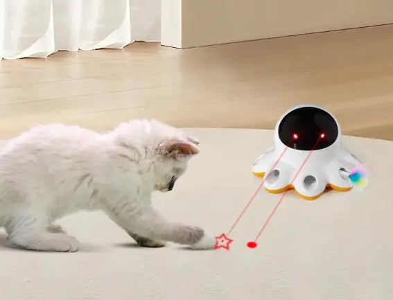 Jouet Électrique pour Chat