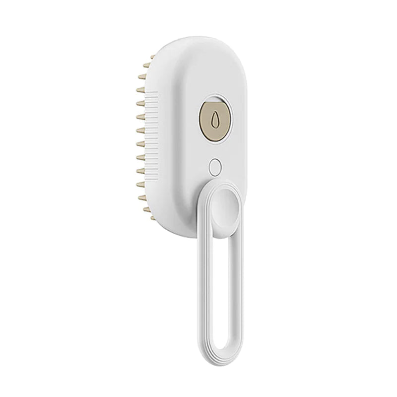 Brosse Vapeur