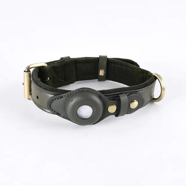 Collier pour Chien en Cuir Anti-Perte