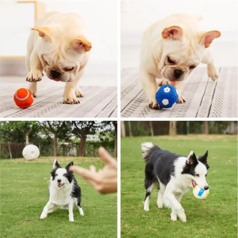 Jouet pour Chien en Caoutchouc Latex Qui Couine