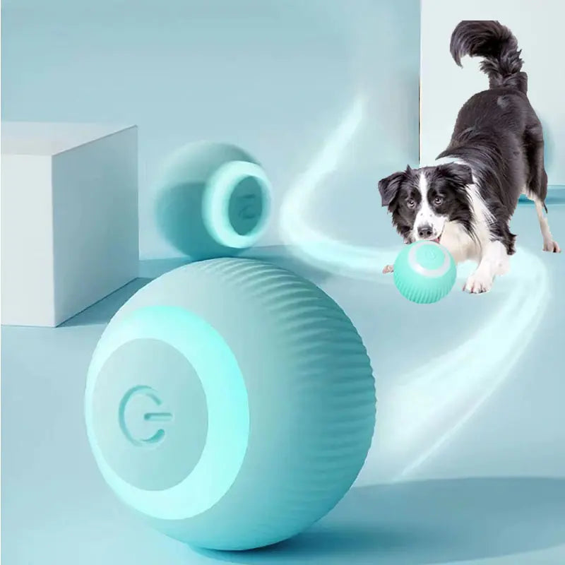 Jouets Balles Électriques Intelligents pour Animaux