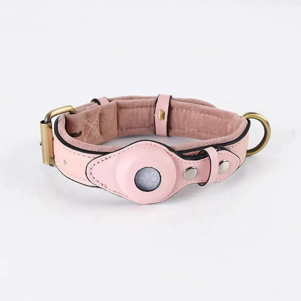 Collier pour Chien Airtag