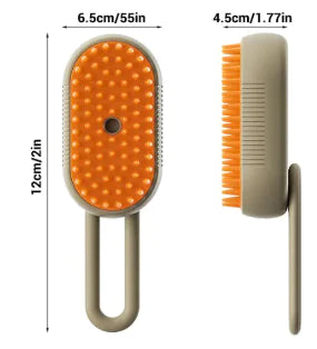 Brosse Vapeur