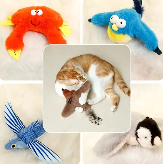 Jouet en Peluche pour Animaux