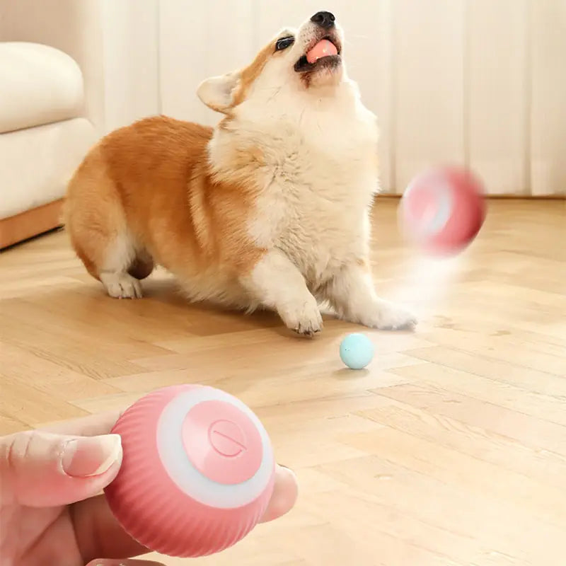 Jouets Balles Électriques Intelligents pour Animaux