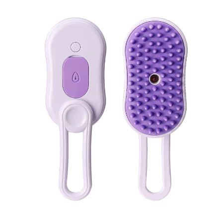 Brosse Vapeur