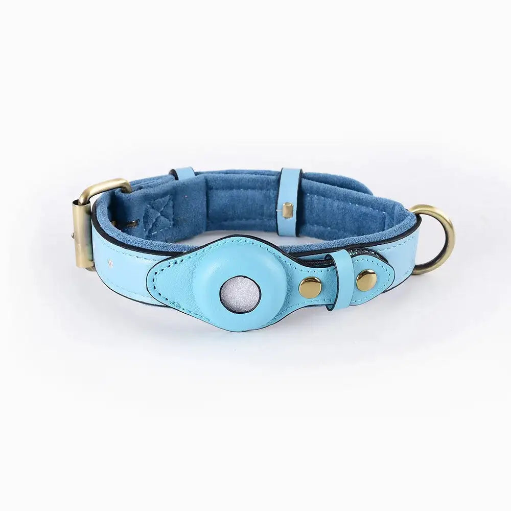 Collier pour Chien Airtag