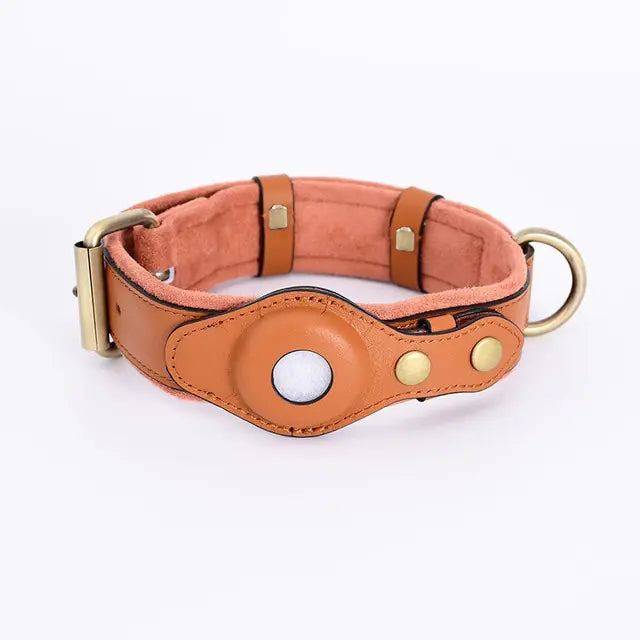 Collier pour Chien en Cuir Anti-Perte