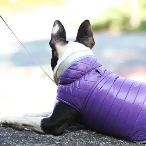 Gilet Réversible pour Chiens pour le Temps Froid